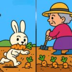IQ test: najděte 3 rozdíly na obrázku babičky na zeleninové