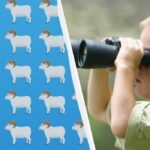 Překvapivě obtížná hádanka: musíte najít jedinečného berana za 7 sekund.